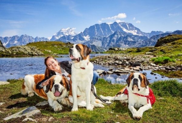 Alana sits at the bed of a river with mountains behind her. She is sitting with three very large St Bernard dogs
