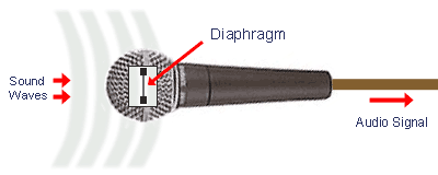 Diagram of a microphone illustrating how sound travels through it.